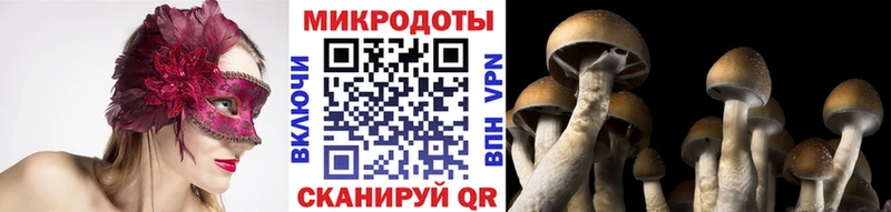 как найти наркотики Болохово Псилоцибиновые грибы Psilocybine cubensis